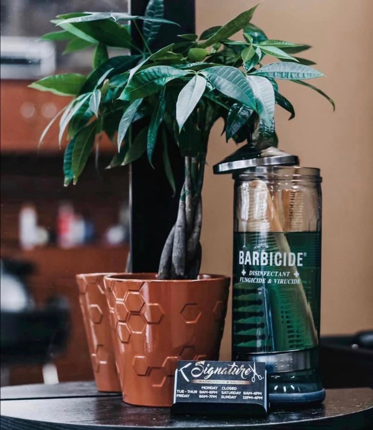 Interior decor at Signature Cuts 413